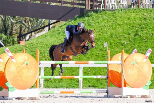 Image de cheval