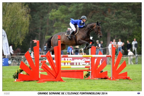 Image de cheval