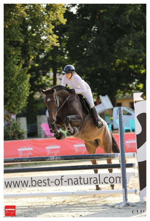 Image de cheval