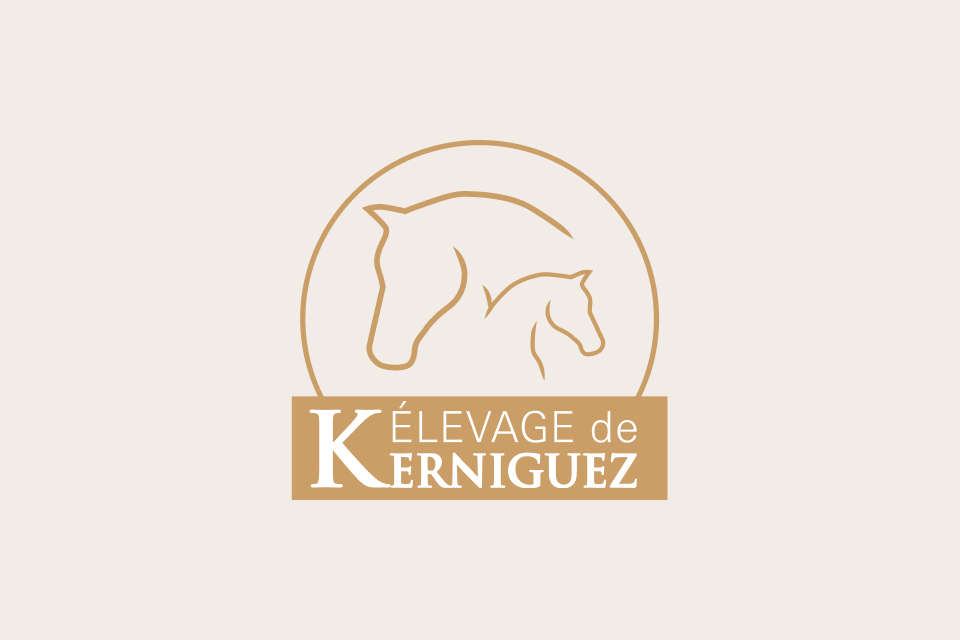Image de remplacement